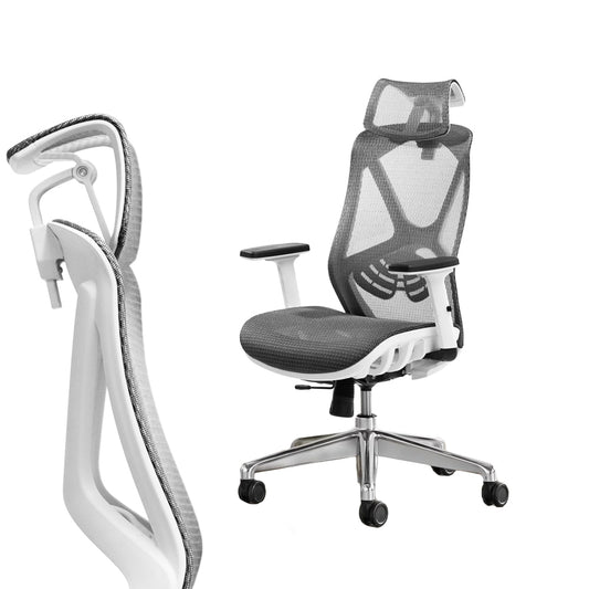 Cascade Ergonomic Mesh Office Chair