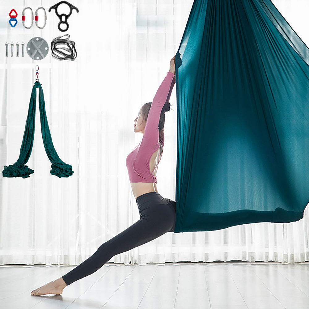 Aerial Silk 10x2.8M Yoga Swing Hammock & Trapeze