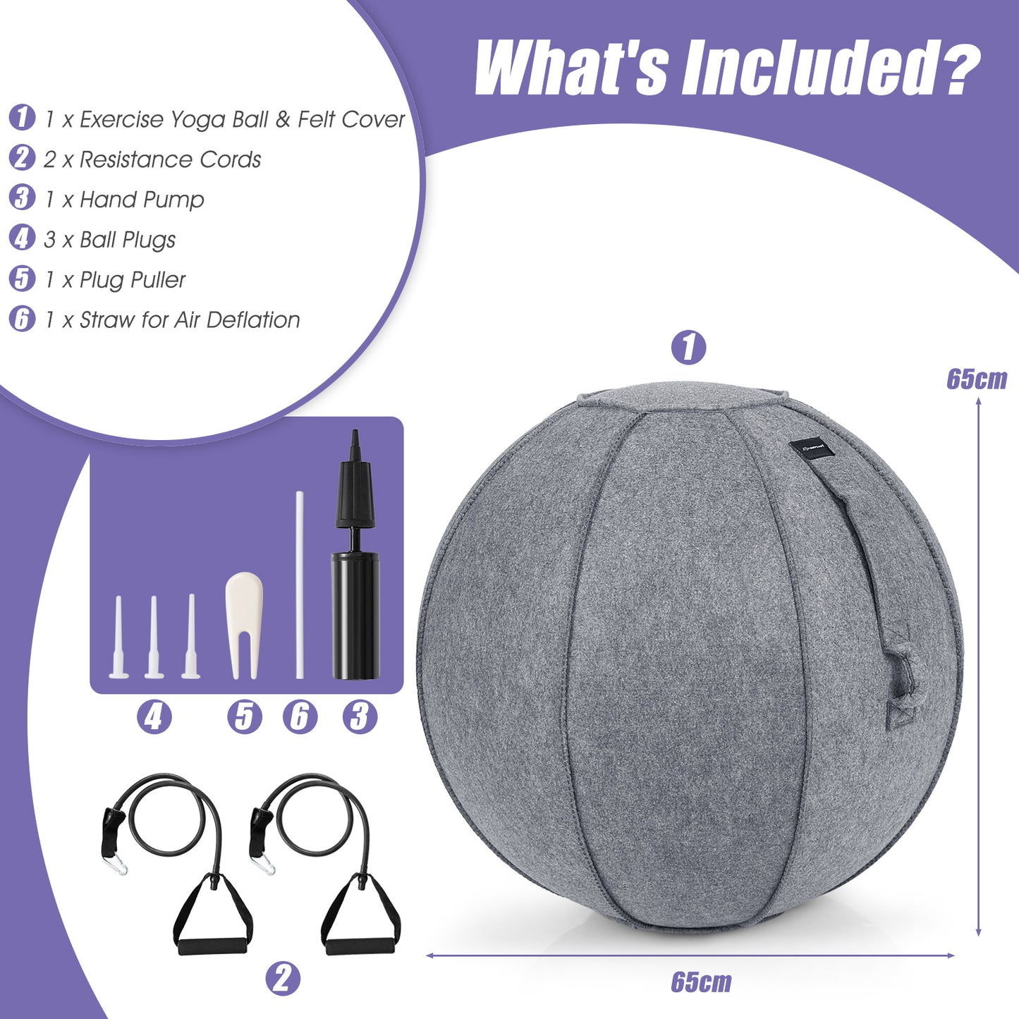 Yogini Yoga/Exercise Ball w/ Air Pump