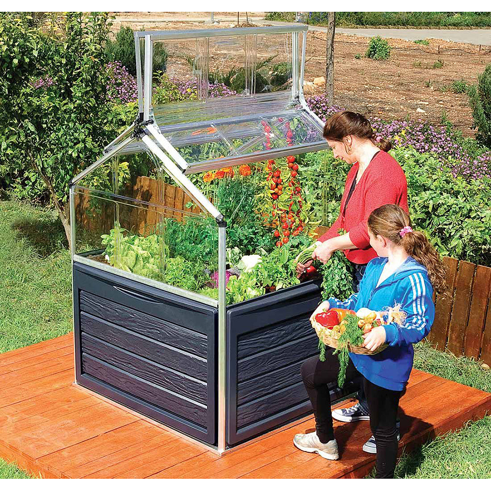 PlantWorld Mini Greenhouse for Small Yards & Patios, Balconies  1.2mx1.2m