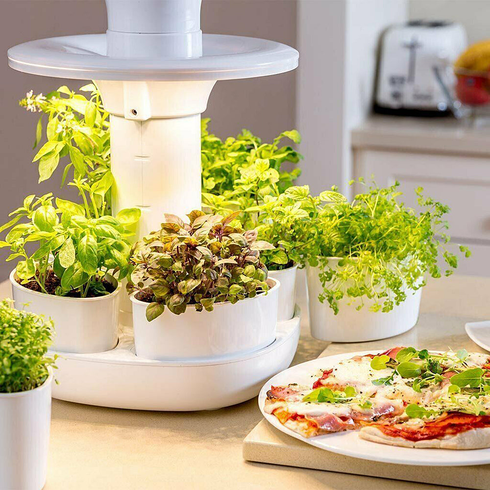 Home Gardening Kit - Herbs, Microgreens, Cherry Tomatoes etc