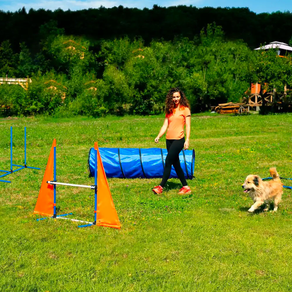 Flash! Dog Obstacle Training Course w/7 Tests + Carry Bag