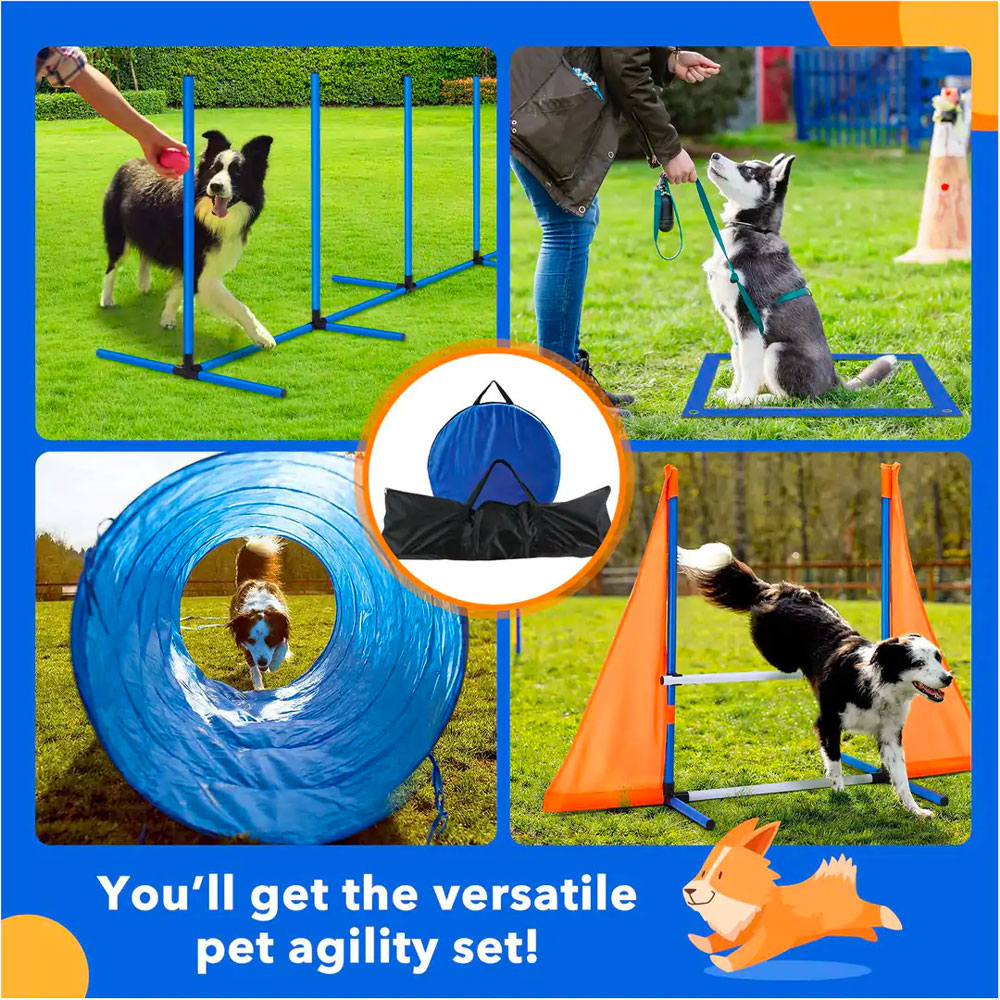 Flash! Dog Obstacle Training Course w/7 Tests + Carry Bag