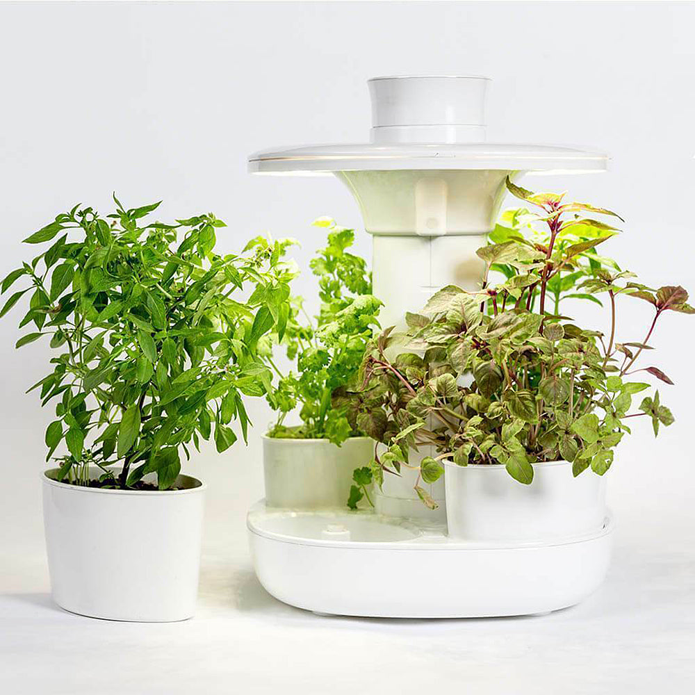 Home Gardening Kit - Herbs, Microgreens, Cherry Tomatoes etc