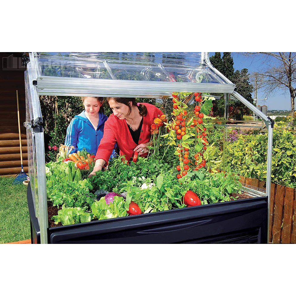 PlantWorld Mini Greenhouse for Small Yards & Patios, Balconies  1.2mx1.2m