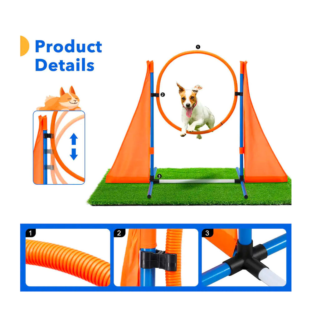 Flash! Dog Obstacle Training Course w/7 Tests + Carry Bag