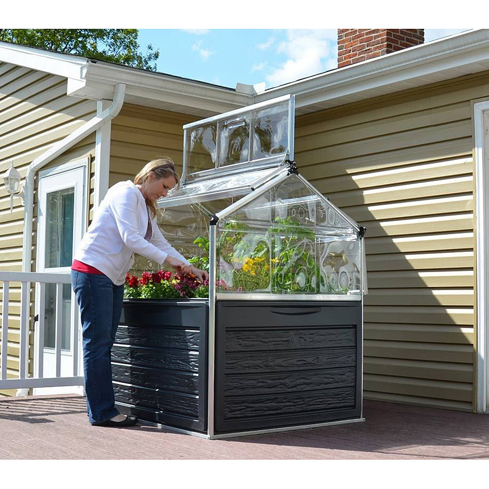 PlantWorld Mini Greenhouse for Small Yards & Patios, Balconies  1.2mx1.2m