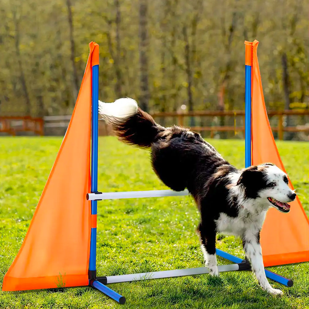 Flash! Dog Obstacle Training Course w/7 Tests + Carry Bag