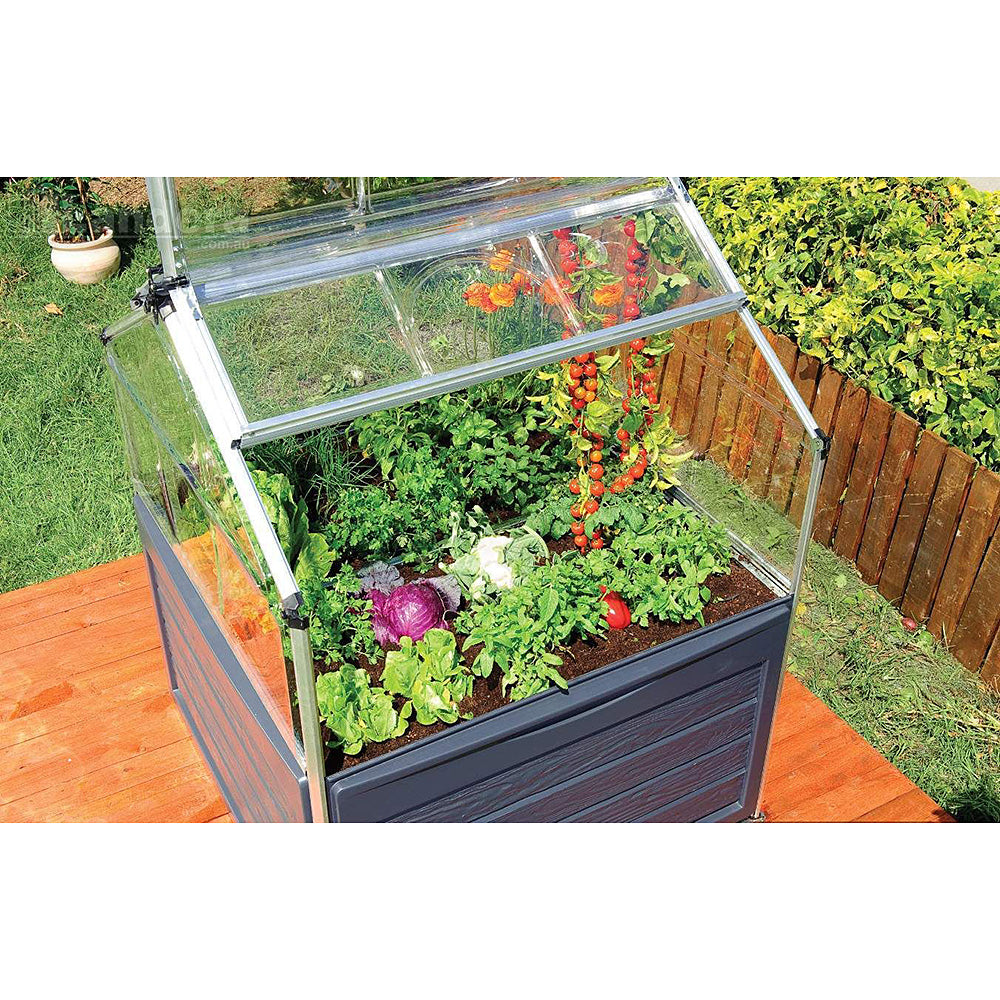 PlantWorld Mini Greenhouse for Small Yards & Patios, Balconies  1.2mx1.2m