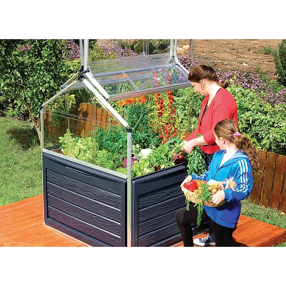 PlantWorld Mini Greenhouse for Small Yards & Patios, Balconies  1.2mx1.2m